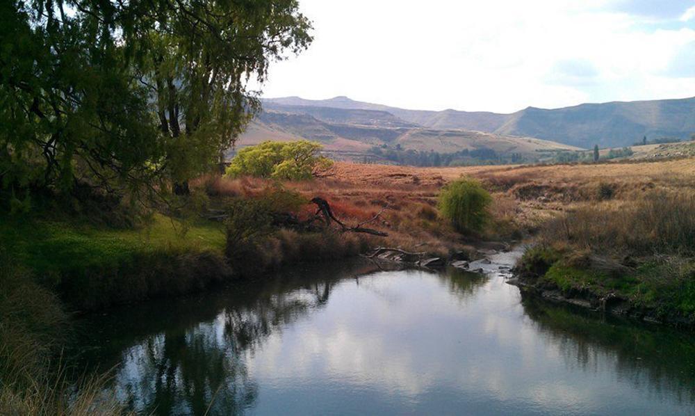 De Molen Farm Βίλα Clarens Εξωτερικό φωτογραφία